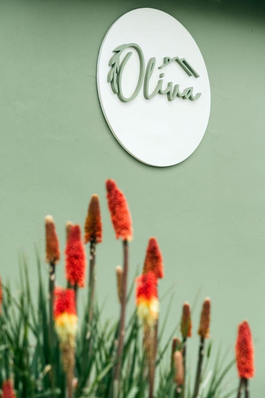 Oliva Hosteria Y Apart Ελ Καλαφάτε Εξωτερικό φωτογραφία